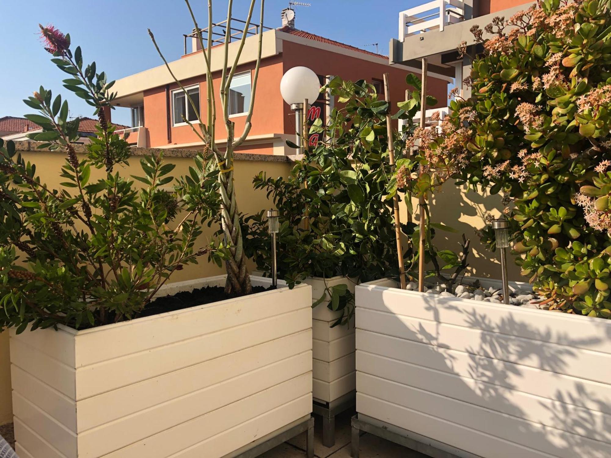 B&B Borgo Marina Bordighera Bagian luar foto